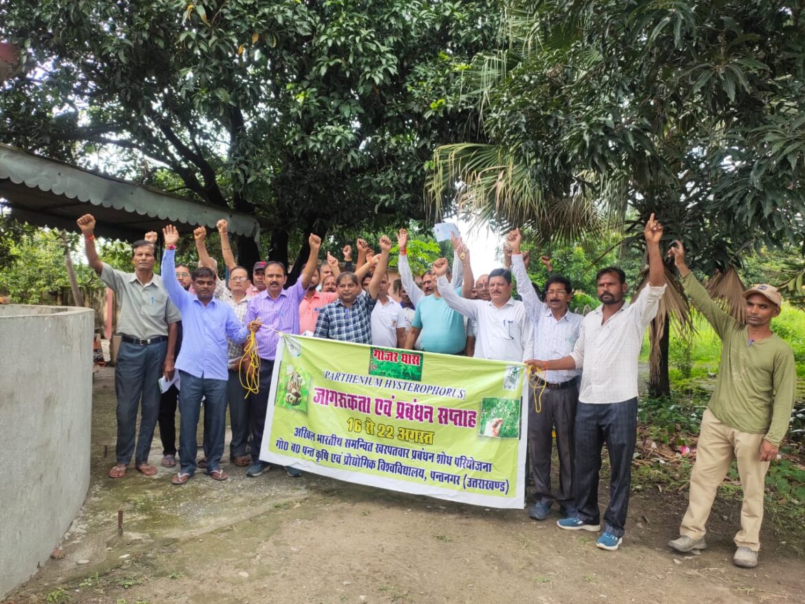 पंतनगर विश्वविद्यालय से आए हुए विशेषज्ञों ने चलाया गाजर घास उन्मूलन एवं जागरूकता अभियान।